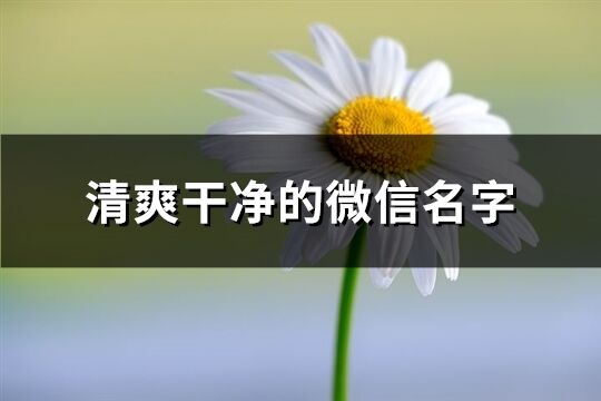 清爽干净的微信名字(精选626个)