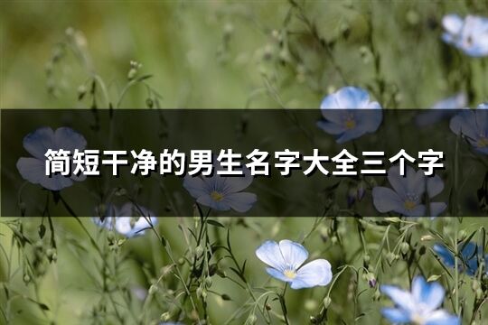 简短干净的男生名字大全三个字(726个)