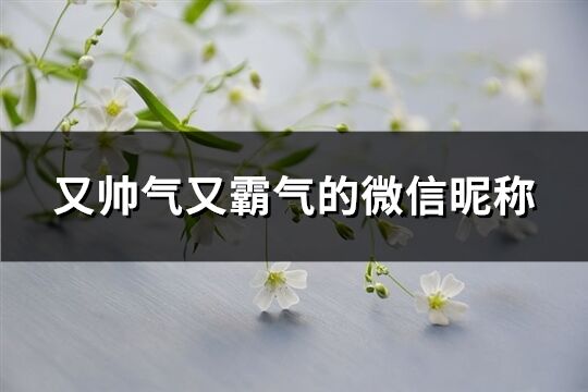 又帅气又霸气的微信昵称(优选370个)