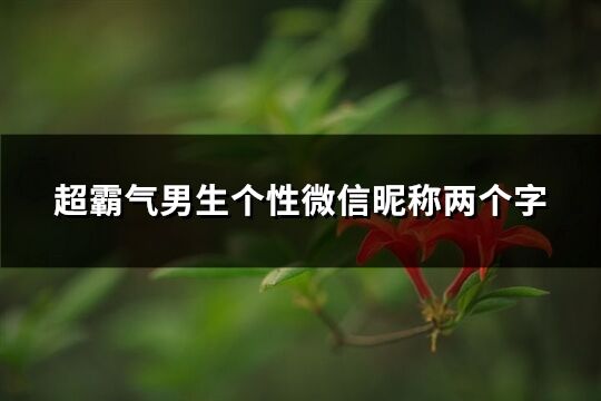 超霸气男生个性微信昵称两个字(精选564个)