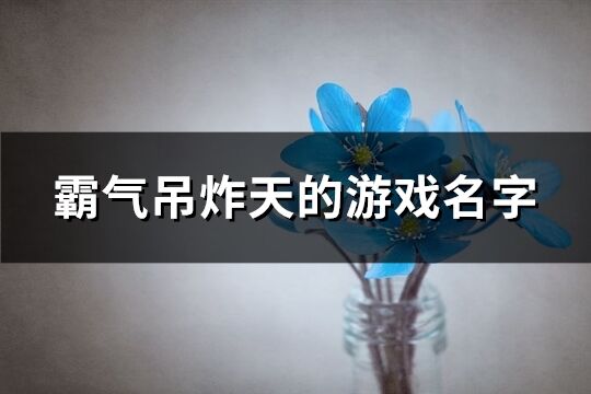 霸气吊炸天的游戏名字(精选740个)