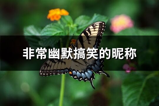 非常幽默搞笑的昵称(优选535个)