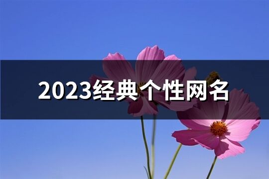 2023经典个性网名(优选1304个)