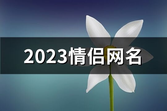 2023情侣网名(精选532个)