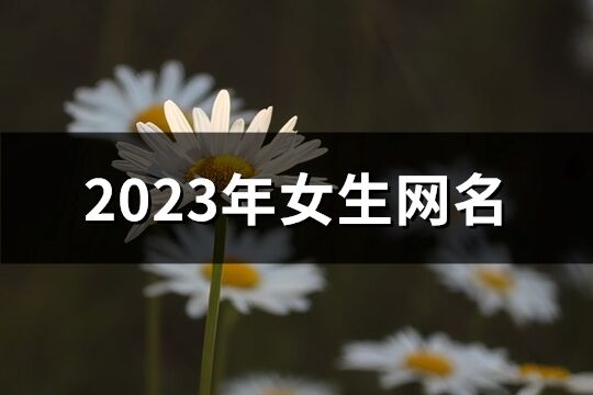 2023年女生网名(优选1190个)