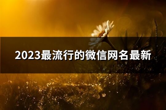 2023最流行的微信网名最新(精选1209个)