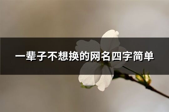 一辈子不想换的网名四字简单(精选370个)