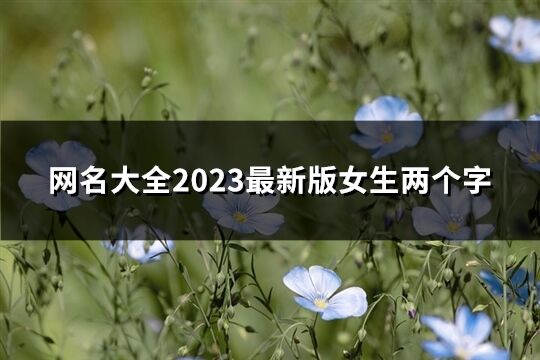 网名大全2023最新版女生两个字(优选1543个)