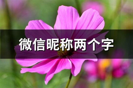 微信昵称两个字(共1533个)