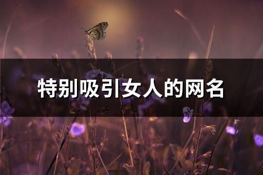 特别吸引女人的网名(优选263个)