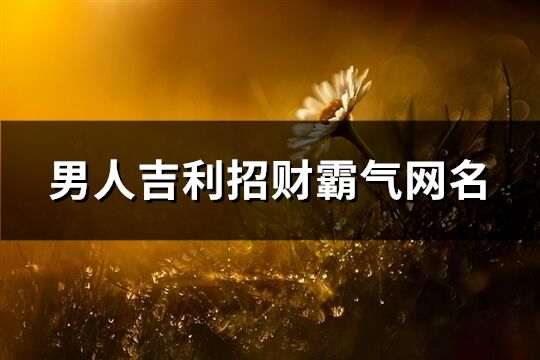 男人吉利招财霸气网名(优选168个)