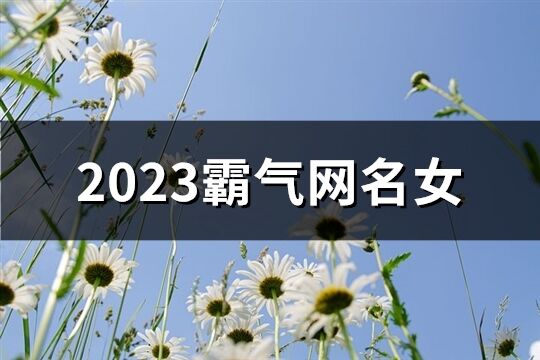 2023霸气网名女(共1116个)