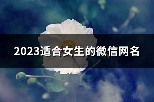 2023适合女生的微信网名(1162个)