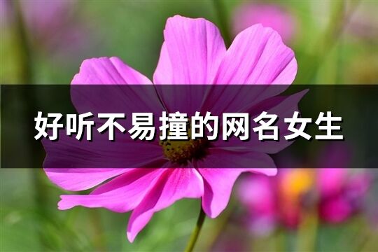 好听不易撞的网名女生(优选257个)