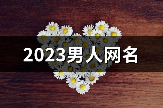 2023男人网名(共928个)