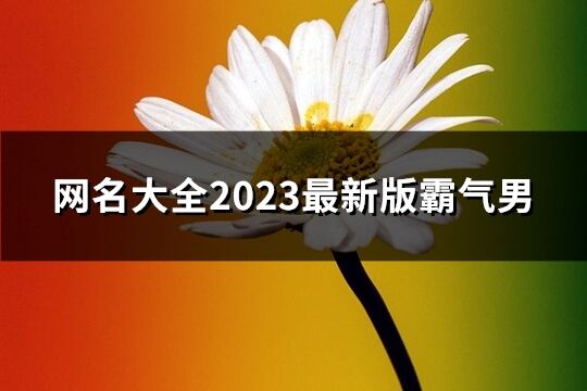 网名大全2023最新版霸气男(815个)