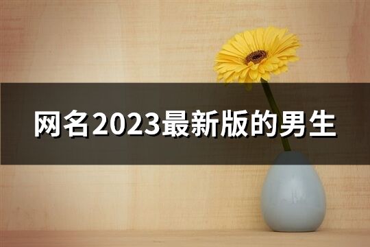 网名2023最新版的男生(共834个)