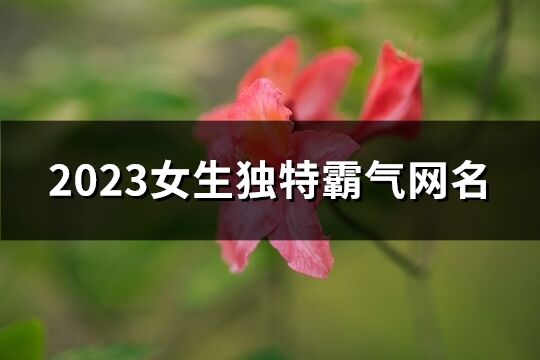 2023女生独特霸气网名(优选941个)