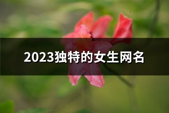 2023独特的女生网名(优选1323个)