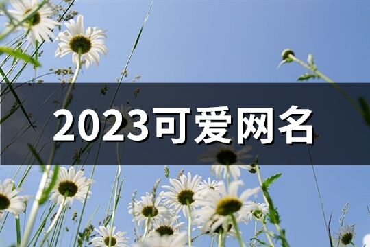 2023可爱网名(共662个)