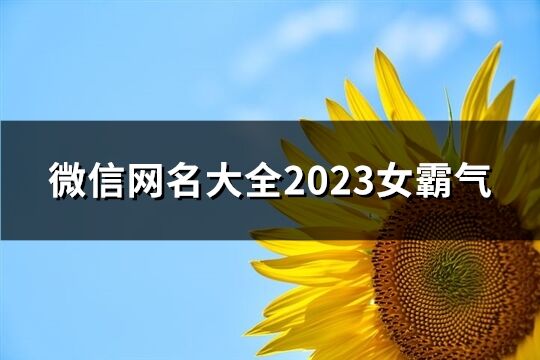 微信网名大全2023女霸气(优选545个)