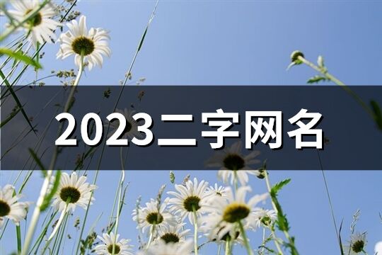 2023二字网名(1603个)