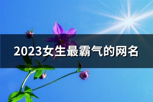 2023女生最霸气的网名(精选682个)