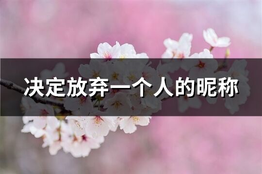 决定放弃一个人的昵称(精选211个)