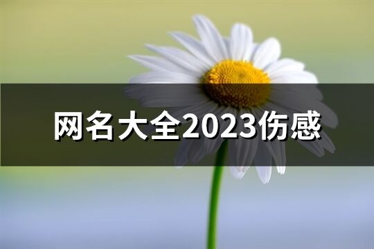 网名大全2023伤感(精选581个)