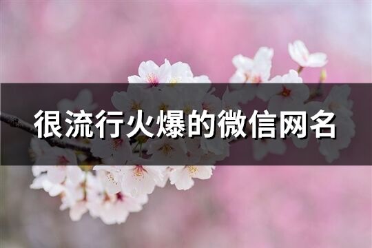 很流行火爆的微信网名(优选643个)