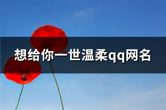 想给你一世温柔qq网名(共529个)