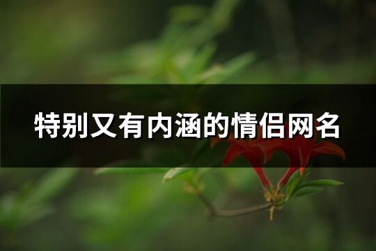 特别又有内涵的情侣网名(优选232个)