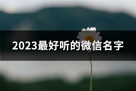 2023最好听的微信名字(优选460个)