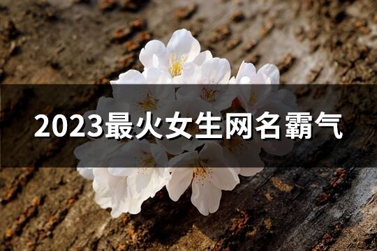 2023最火女生网名霸气(精选1426个)