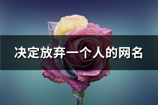 决定放弃一个人的网名(共235个)