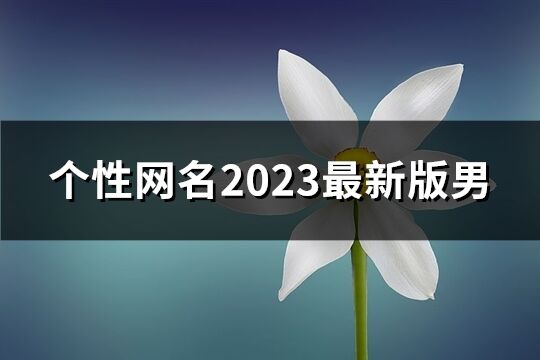 个性网名2023最新版男(共819个)