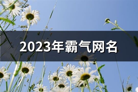 2023年霸气网名(669个)