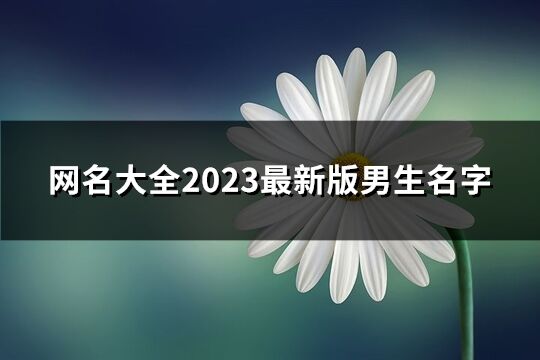 网名大全2023最新版男生名字(优选754个)