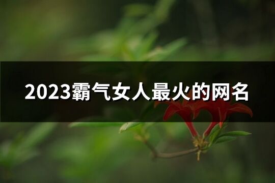 2023霸气女人最火的网名(共800个)