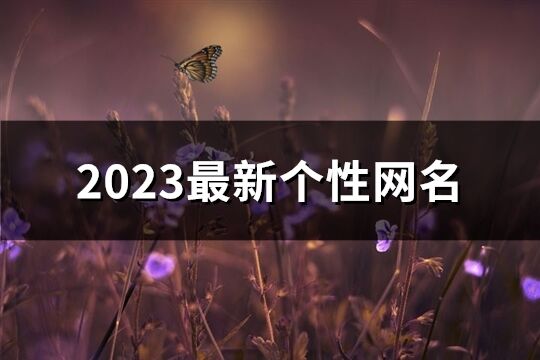 2023最新个性网名(共2121个)