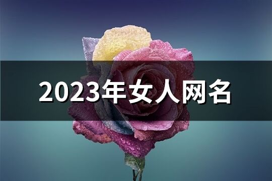 2023年女人网名(精选752个)