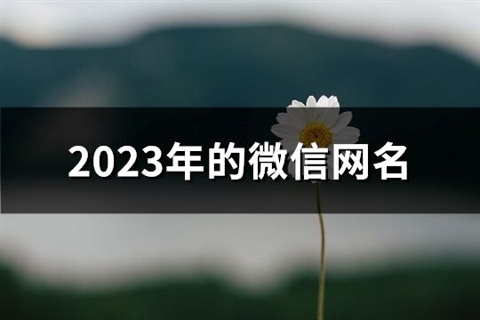 2023年的微信网名(优选1161个)