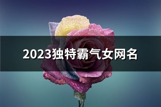 2023独特霸气女网名(共917个)