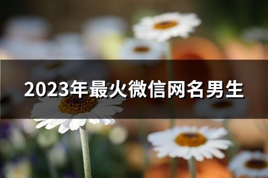 2023年最火微信网名男生(优选2805个)