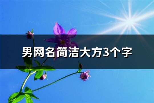 男网名简洁大方3个字(精选413个)