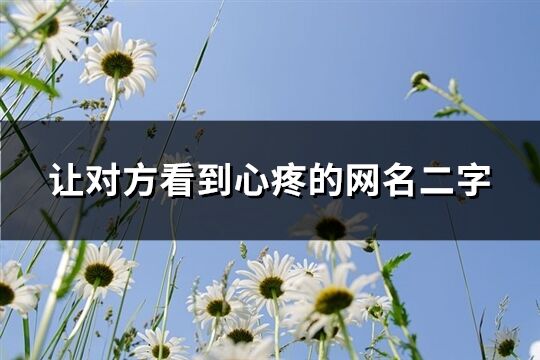 让对方看到心疼的网名二字(精选244个)