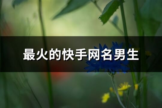 最火的快手网名男生(优选457个)