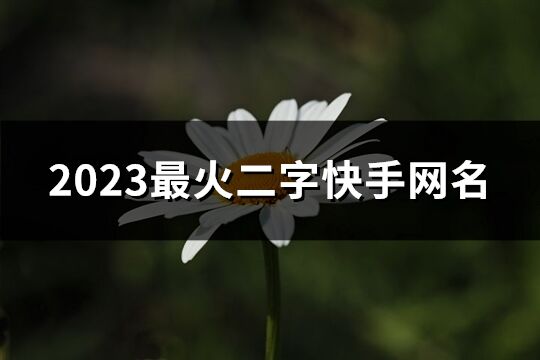 2023最火二字快手网名(优选1703个)