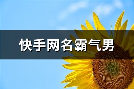 快手网名霸气男(共212个)