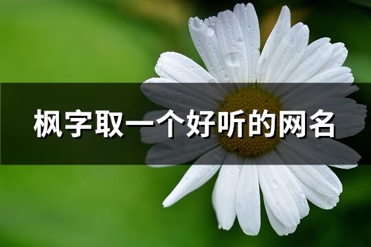 枫字取一个好听的网名(优选81个)